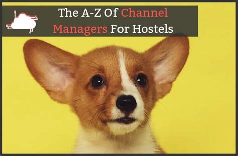 hostel channel manager.